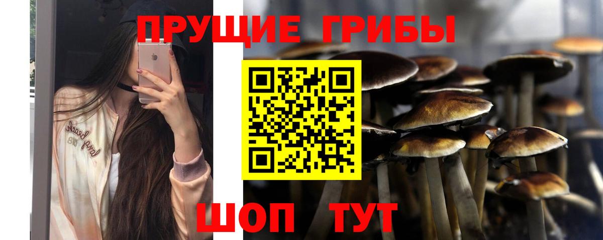 Галлюциногенные грибы Magic Shrooms  Вход с VPN  Кропоткин 